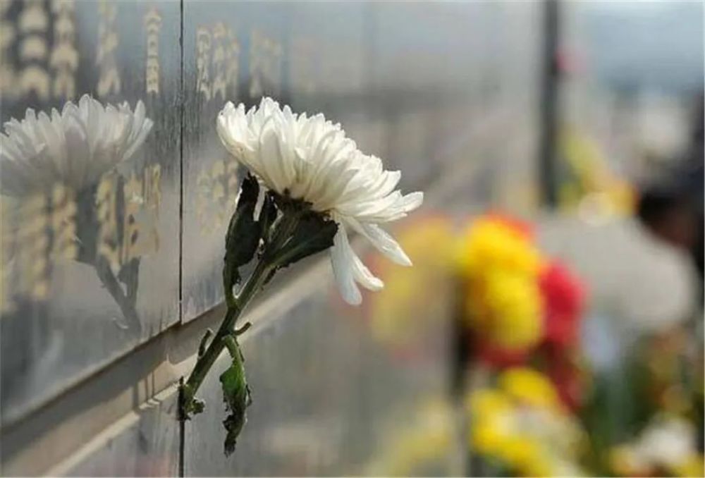 我们的节日清明