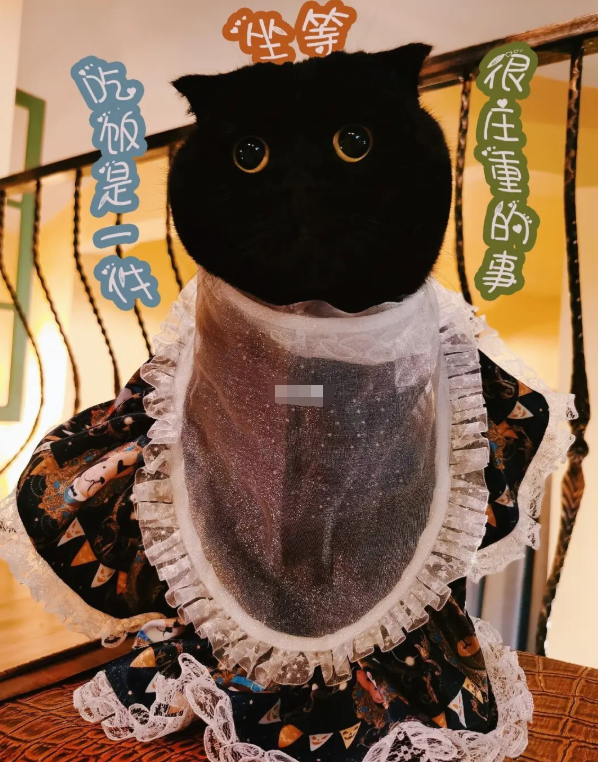 只要有一个人的心中住着千岁岁,它就还不算消失