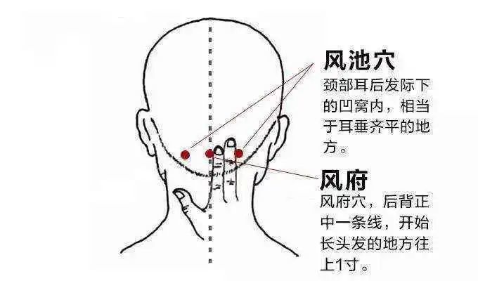 风府穴疏理气