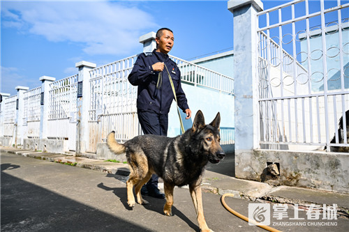 据介绍,昆明市公安局加强整合内部资源,从警犬基地挑选出20只优质警犬