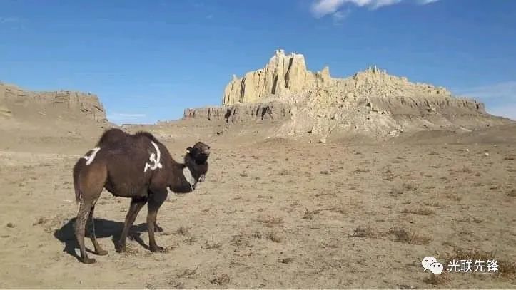 的旅遊公司,顧名思義,該公司主打原蘇東地區和社會主義陣營遊覽路線