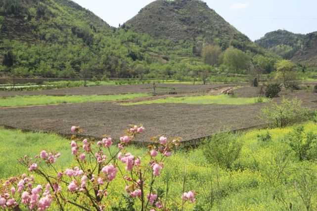 鎮寧茂良村:農旅結合促發展 扮靚鄉村迎客來