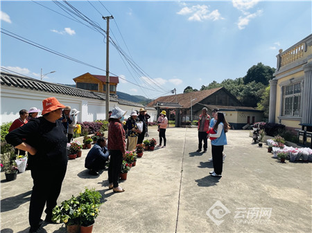 安宁太平社区开展村庄庭院"微改造"建设群众美丽家园