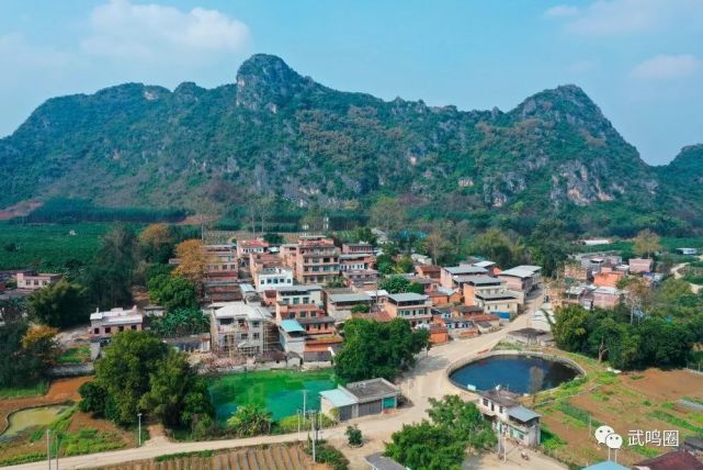 武鸣区宁武镇辖村.在镇境南部,镇人民政府驻地西南7千米.