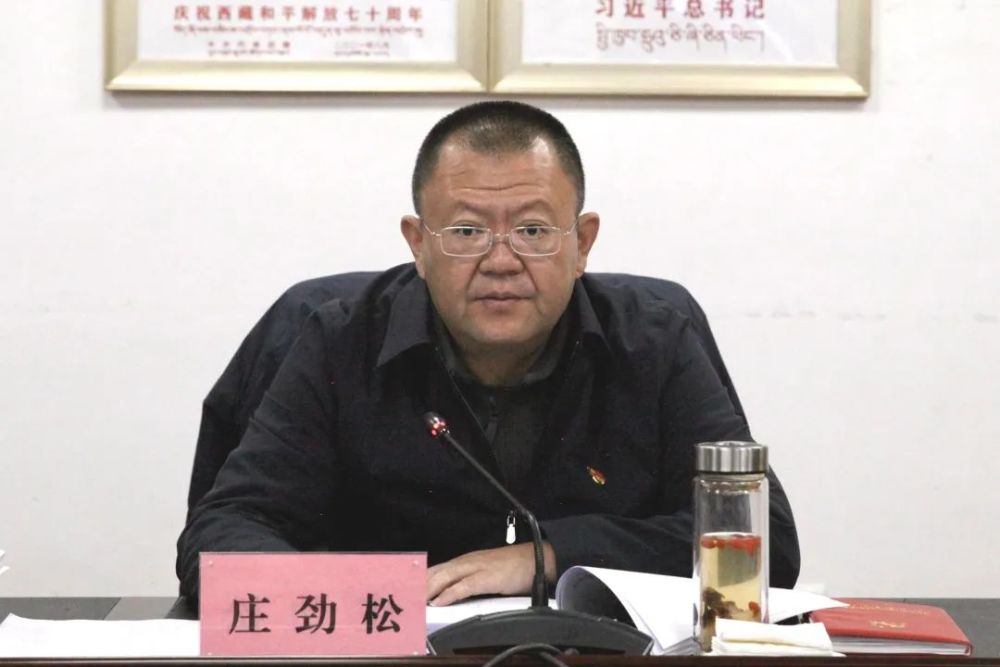 市领导索朗嘎瓦,陈刚,庄存伟,张