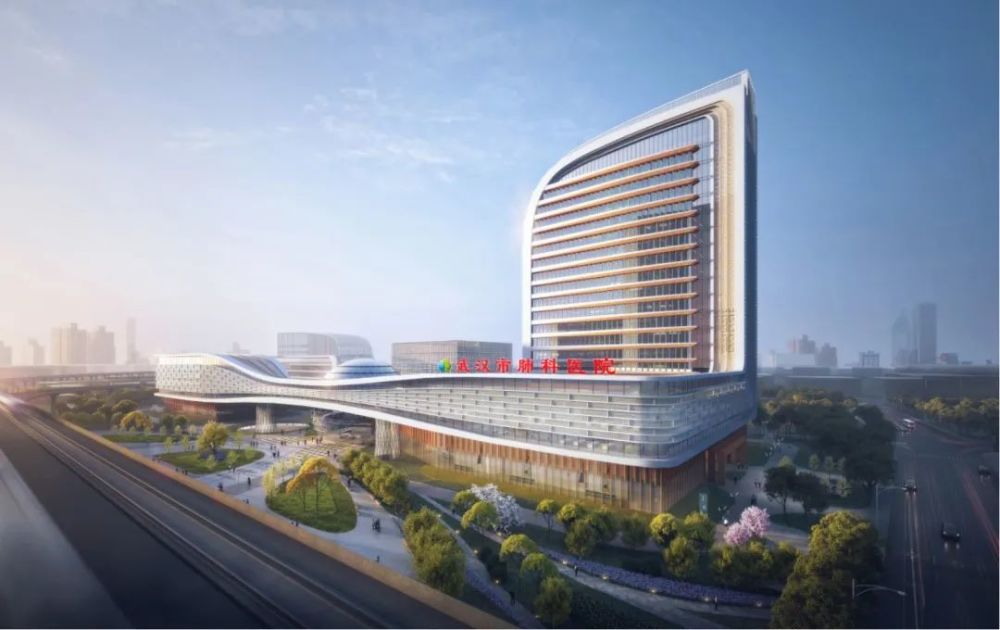 总投资1879亿元武汉市肺科医院迁建项目开工