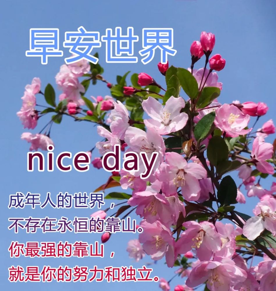 2022年早安最漂亮的图片 最暖心正能量的早安心语图片_腾讯新闻