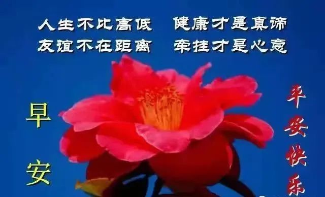 6張疫情祝福圖帶字,願彼此都平安健康,早安吉祥!