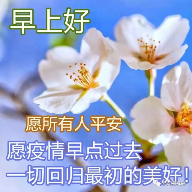 6张疫情祝福图带字,愿彼此都平安健康,早安吉祥!