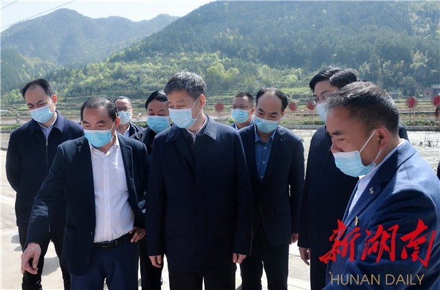 严华在城步调研乡村振兴并督导疫情防控工作