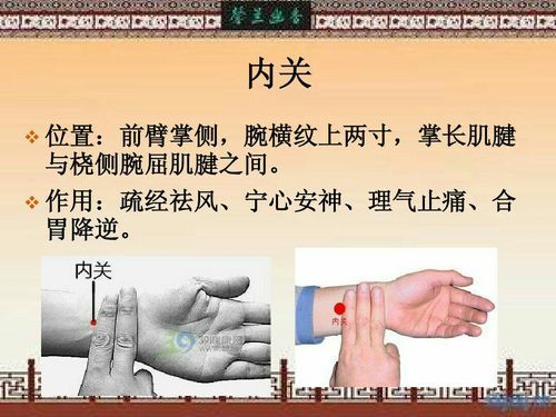 世界艾乡资讯-一针见效的针灸穴位之治疗心胸胃疾病第一要穴 内关穴