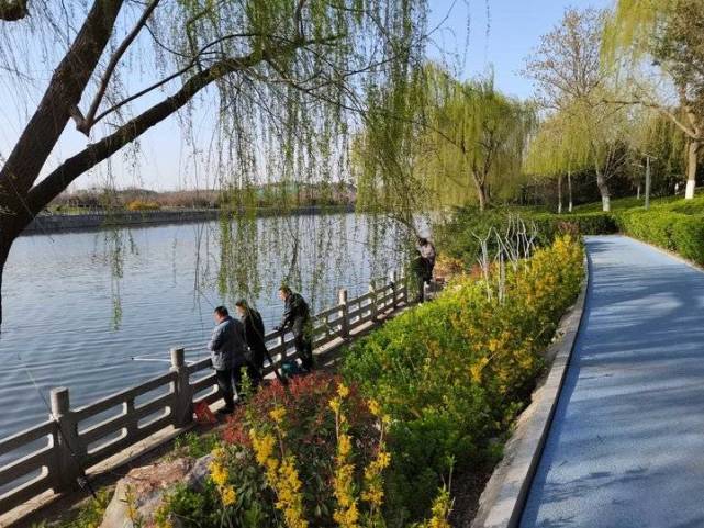 最济南,来小清河打卡吧