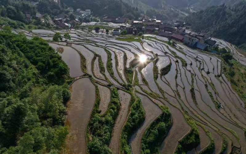 校外培训教材不得超标超前！一地发布新规！日本殖民地