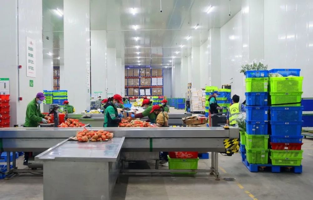 日均发货100万件果蔬订单松江叮咚买菜蔬果仓产线全开