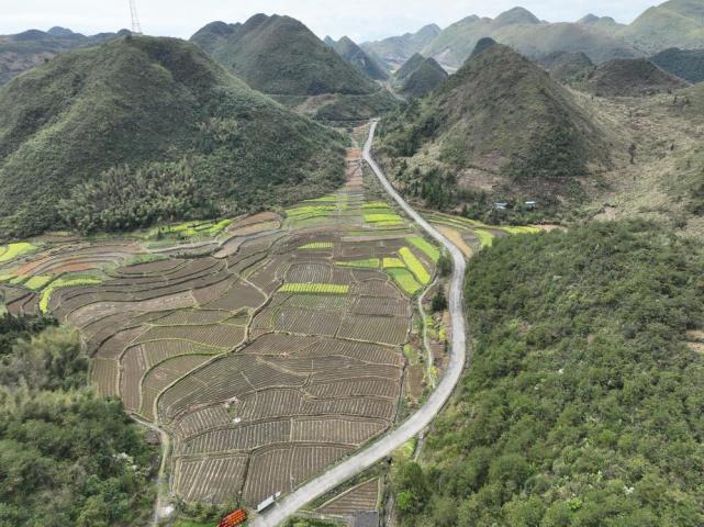 韶关乐昌云岩镇抢抓农时忙春耕,撂荒耕地现生机