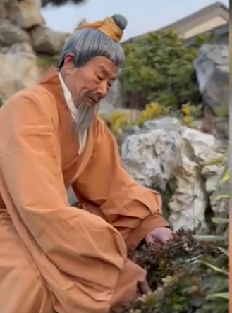 周口79岁爷爷玩"古装穿越",成网红,一身"国风范儿"!
