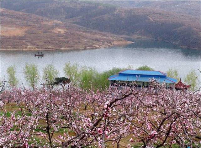 相约沂源桃花岛|桃花岛上筑梦人