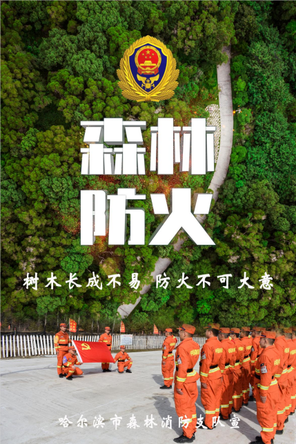 高颜值森林防火海报来袭助力打赢春防攻坚战