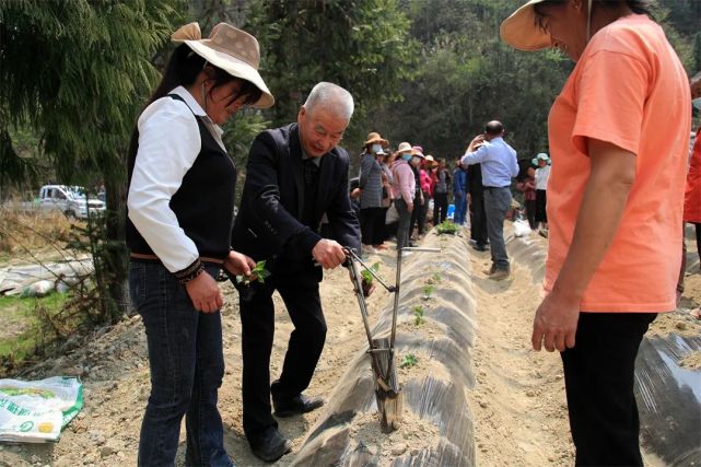 74歲的騰衝老人發明新農具助力現代農業生產