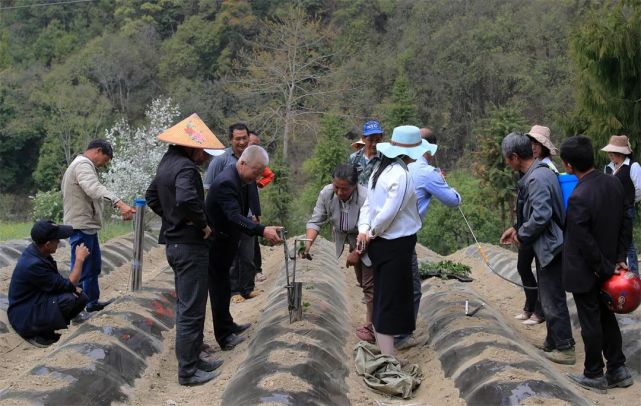 74歲的騰衝老人發明新農具助力現代農業生產