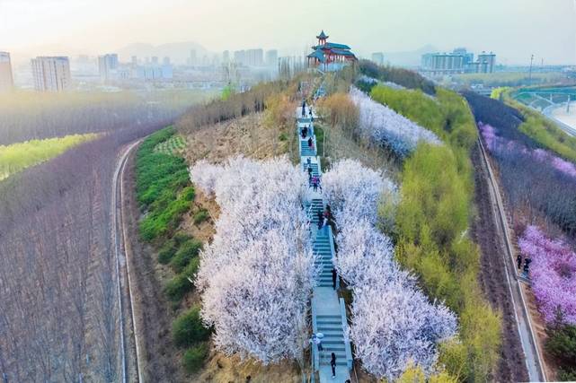 石家庄有一座翠屏湿地公园,风景秀丽免门票,是踏青赏花的好去处