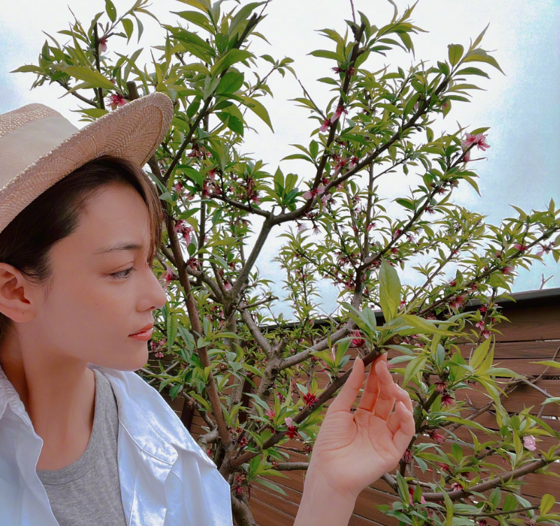 张馨予生日晒菜园火了,蔬菜茂盛桃花盛开,网友:把生活过成了诗_腾讯