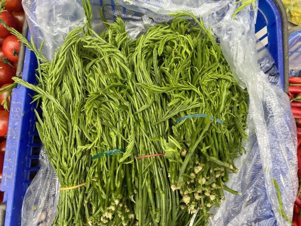 各样的春花野菜,有黄绿相间的金雀花,鲜嫩翠绿的香椿,青翠欲滴的甜菜