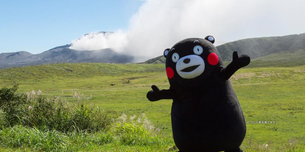 熊本县真的有熊吗为什么要叫熊本