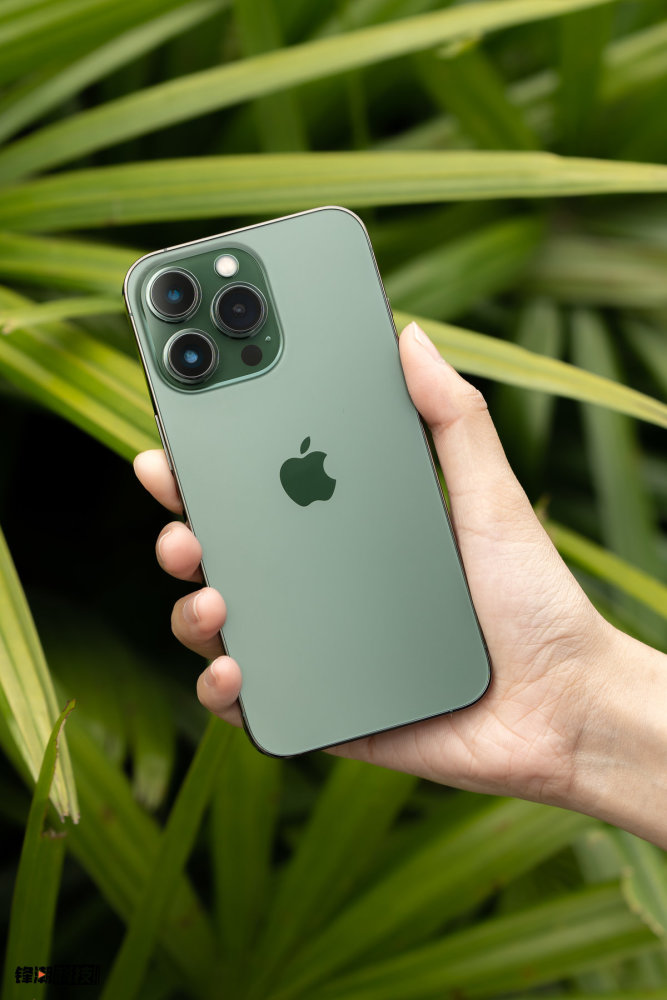 Iphone 13 Pro Cangling Green Picture Appreciation Real Men Can Hold It Laitimes