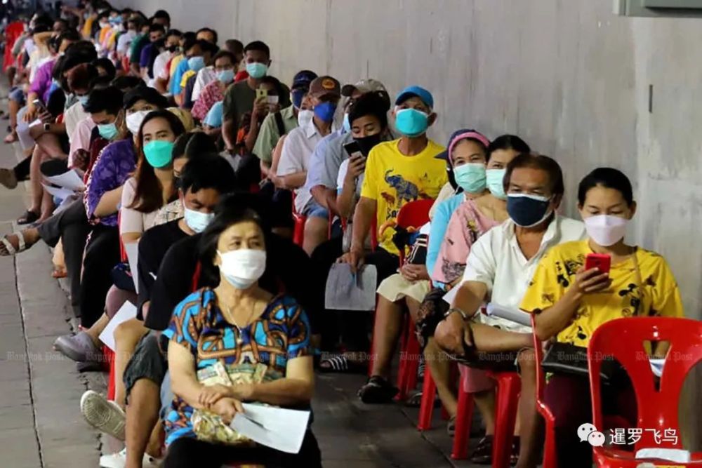 泰国素林府率先宣布将新冠降级为地方性流行病，取消相应严格措施600645ST春花