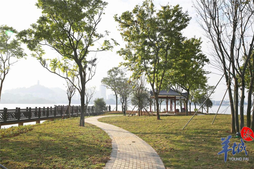 东莞南城水濂山水库碧道:绘就市民"家门口"生态画卷_腾讯新闻