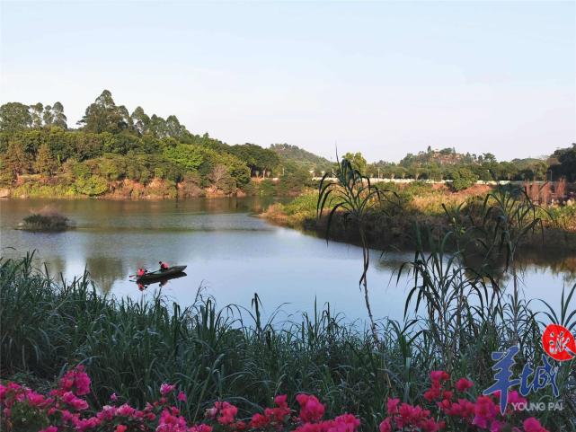 东莞南城水濂山水库碧道绘就市民家门口生态画卷