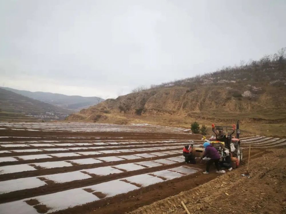 来源:静宁县灵芝乡编辑:杨红霞编审:张金虎  戴腾飞监制:李征兵让我