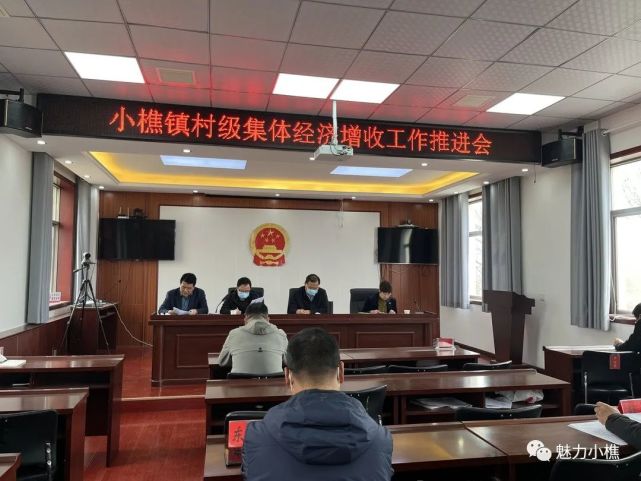 党支部领办合作社小樵镇准备这样干