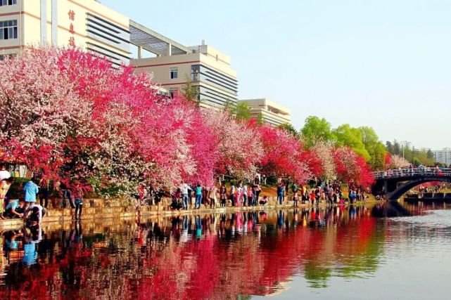 多少分能上三峡大学?