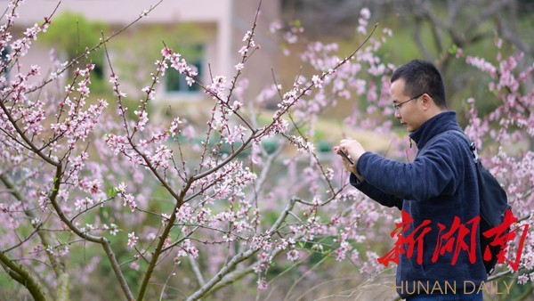 幻兽少年 梦枕貘_桃花幻梦攻略_梦色糕点师之幻之梦