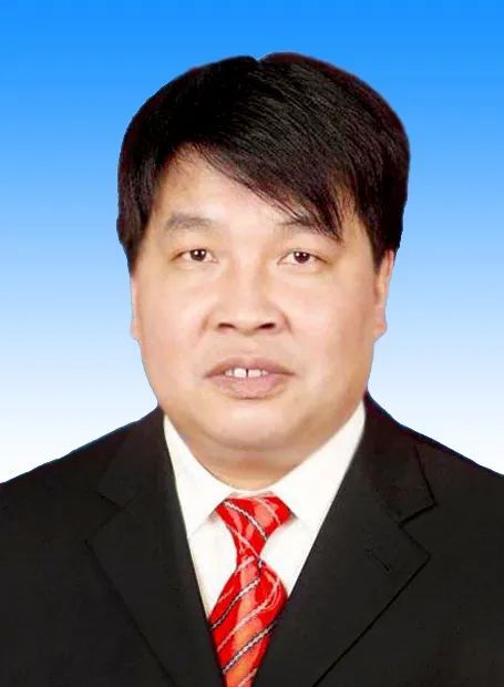 商洛市人民政府市长副市长