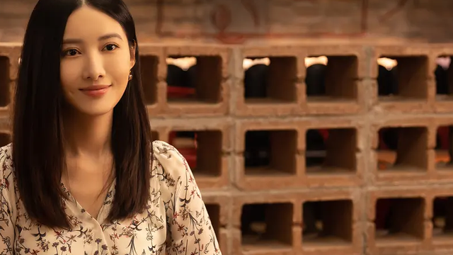 追爱家族10叶敏怡因为齐天佐一直说想去看看齐天佐