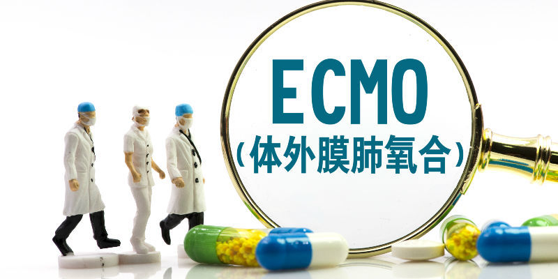 可能黑屏或停止美敦力召回国内近半的人工肺ecmo
