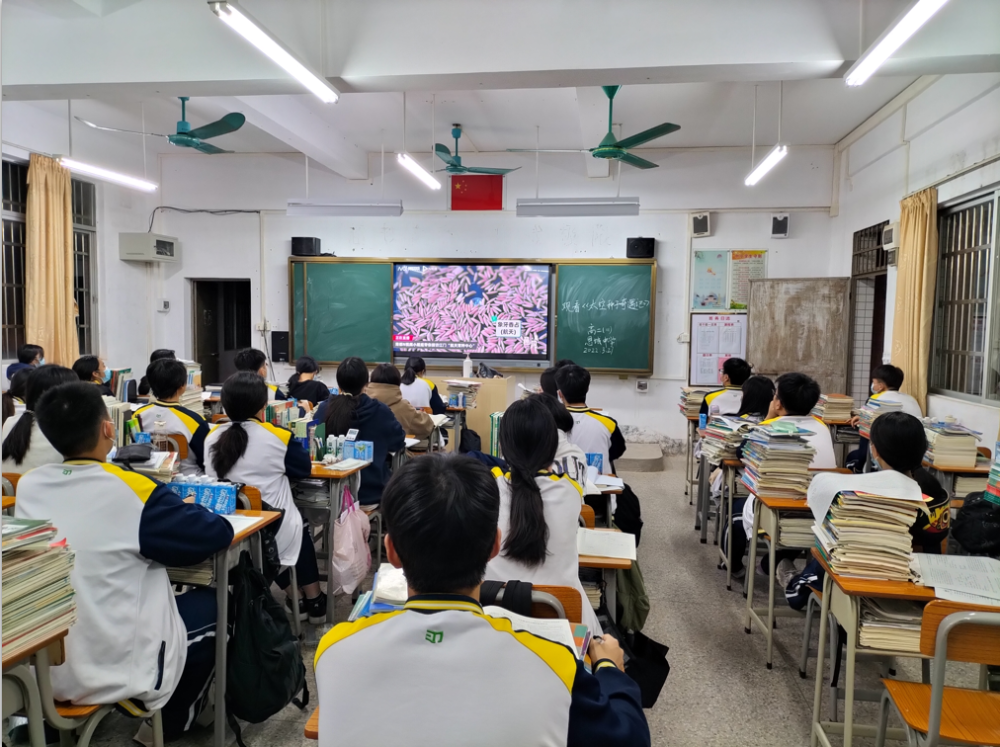 恩平市恩城中學恩平市年樂夫人學校恩平市鰲峰中學恩平市年樂學校恩平