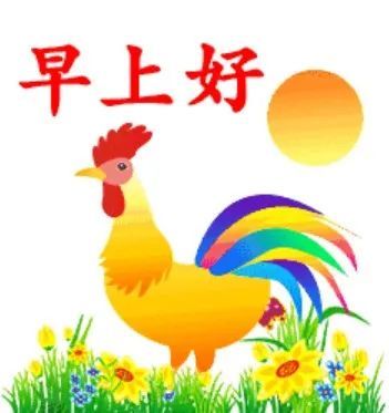 早上好表情包大全,早上好图片正能量问候语
