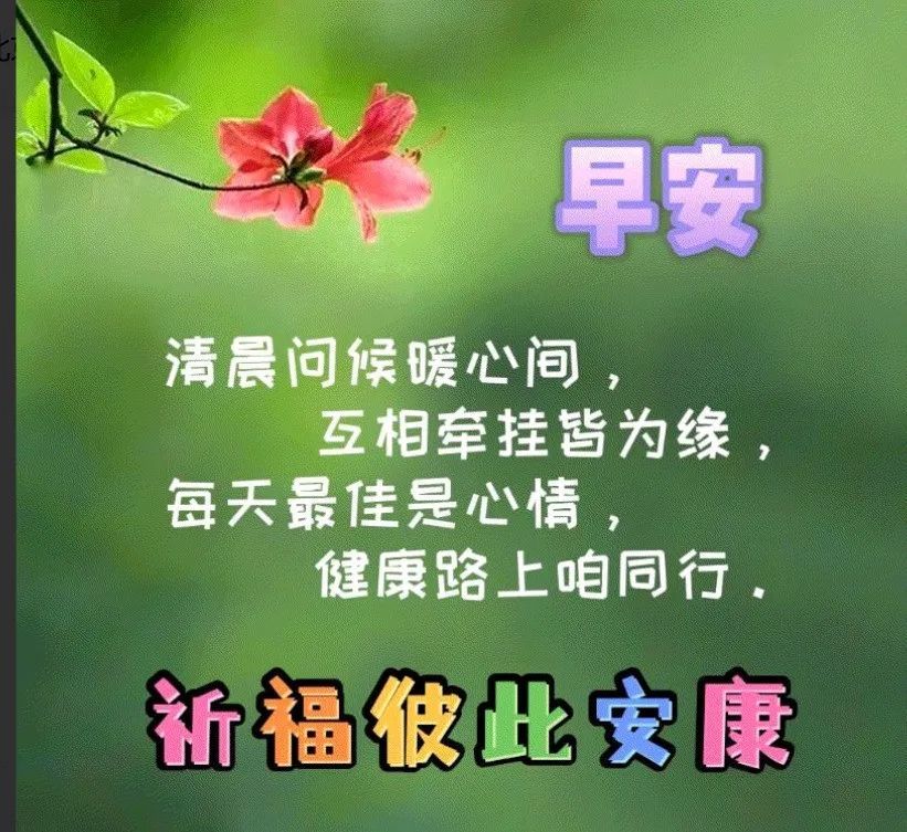 集清晨露珠的吉祥,用簡潔的文字編輯祝福,送出清晨的第一聲問候,早安