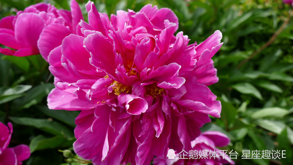 3月31日星座运势 谋有所成 能屈能伸的四大星座 腾讯新闻