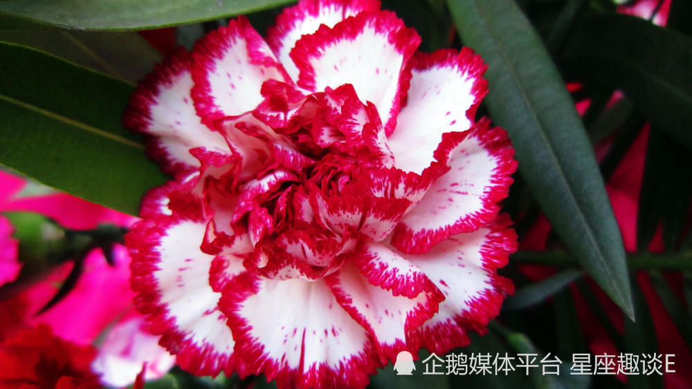 3月31日星座运势 谋有所成 能屈能伸的四大星座 腾讯新闻