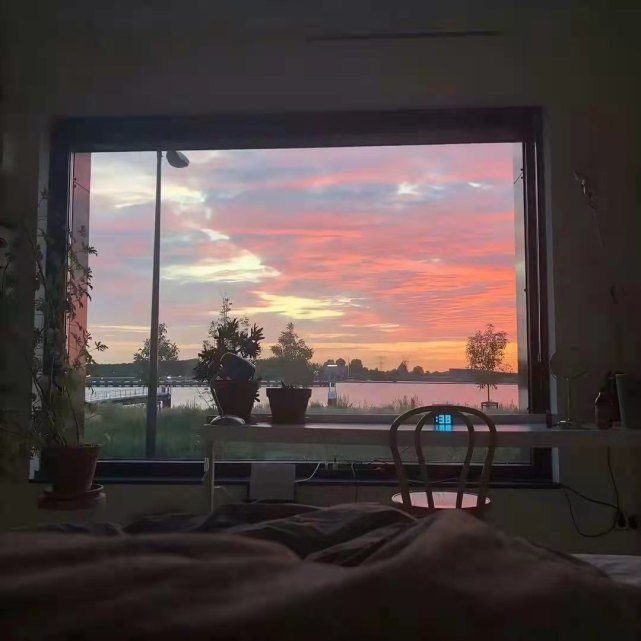 641