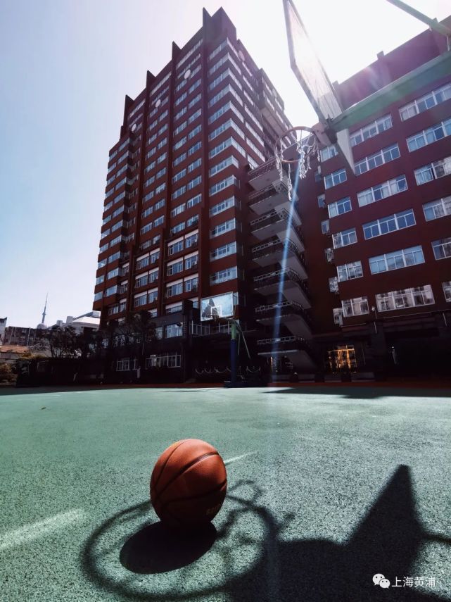 云游校园丨雨打樱花,春语校园——上海市格致初级中学