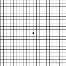 视野检查科普贴丨专注于眼前文字时眼角能看到周围多少事物