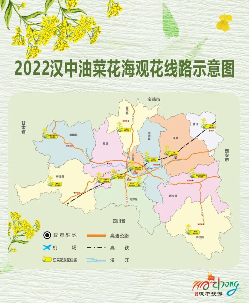 快看会移动的油菜花海景观