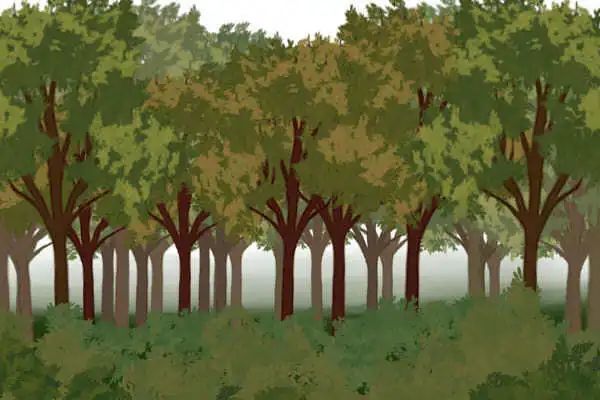 板绘初学者如何去画一片森林