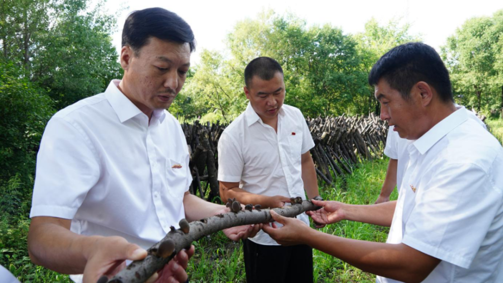 黑龙江林业报在执着中励志笃行记绥棱林业局有限公司五道河林场场长